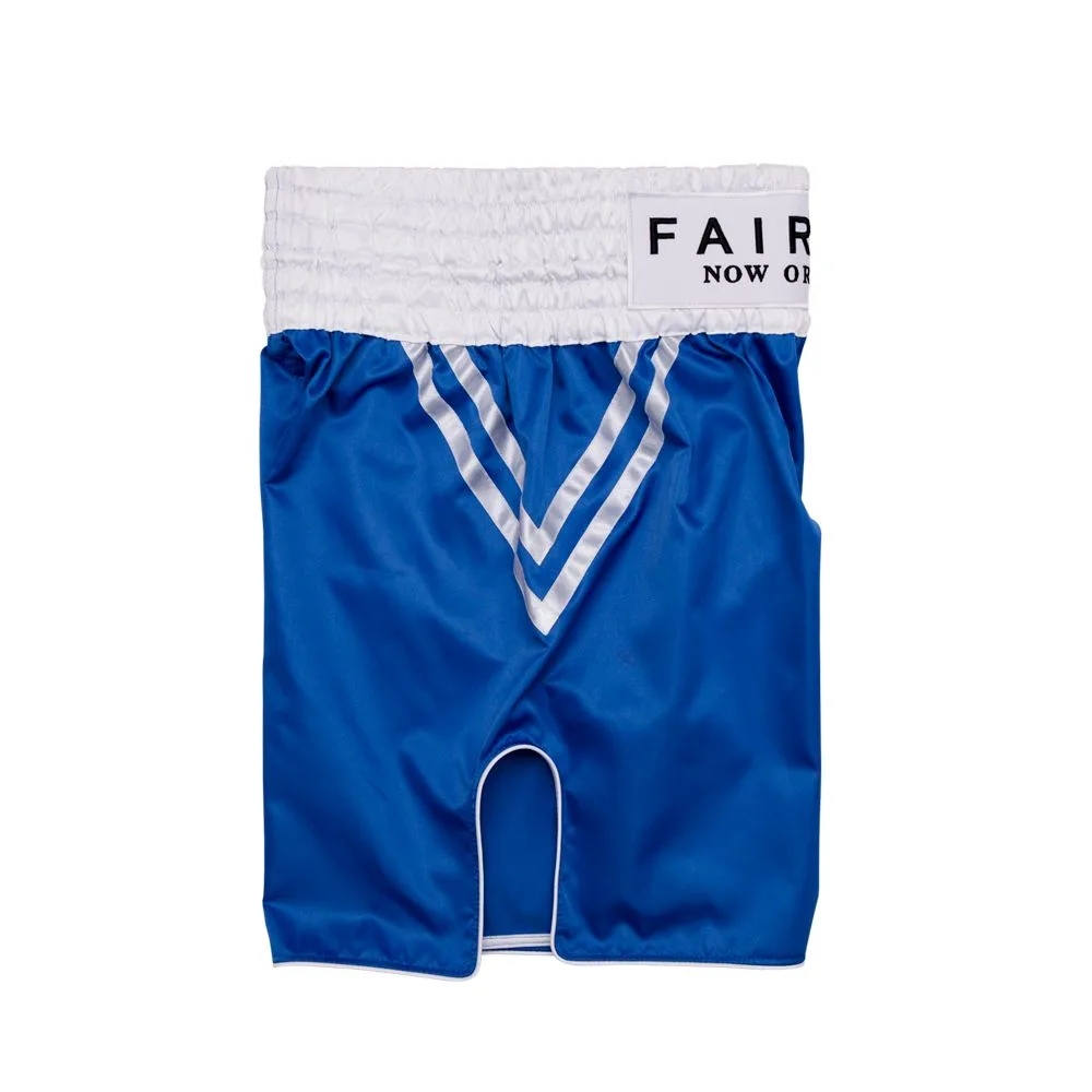 Fairtex Classic Blue BT2009 боксови шорти, изглед отзад