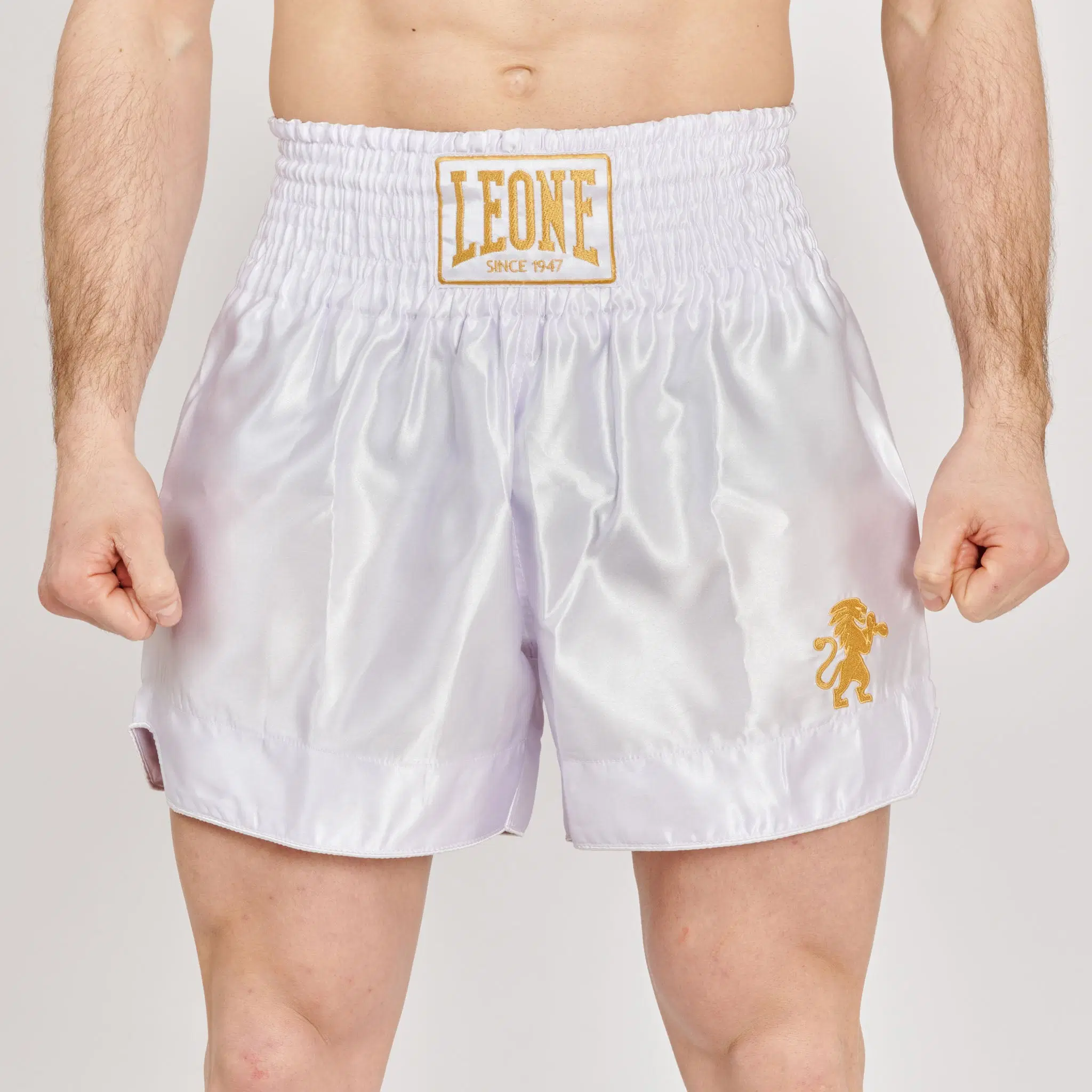 Leone 1947 - BASIC 2 KICK SHORTS - Bordeaux - Муай Тай Шорти - AB970