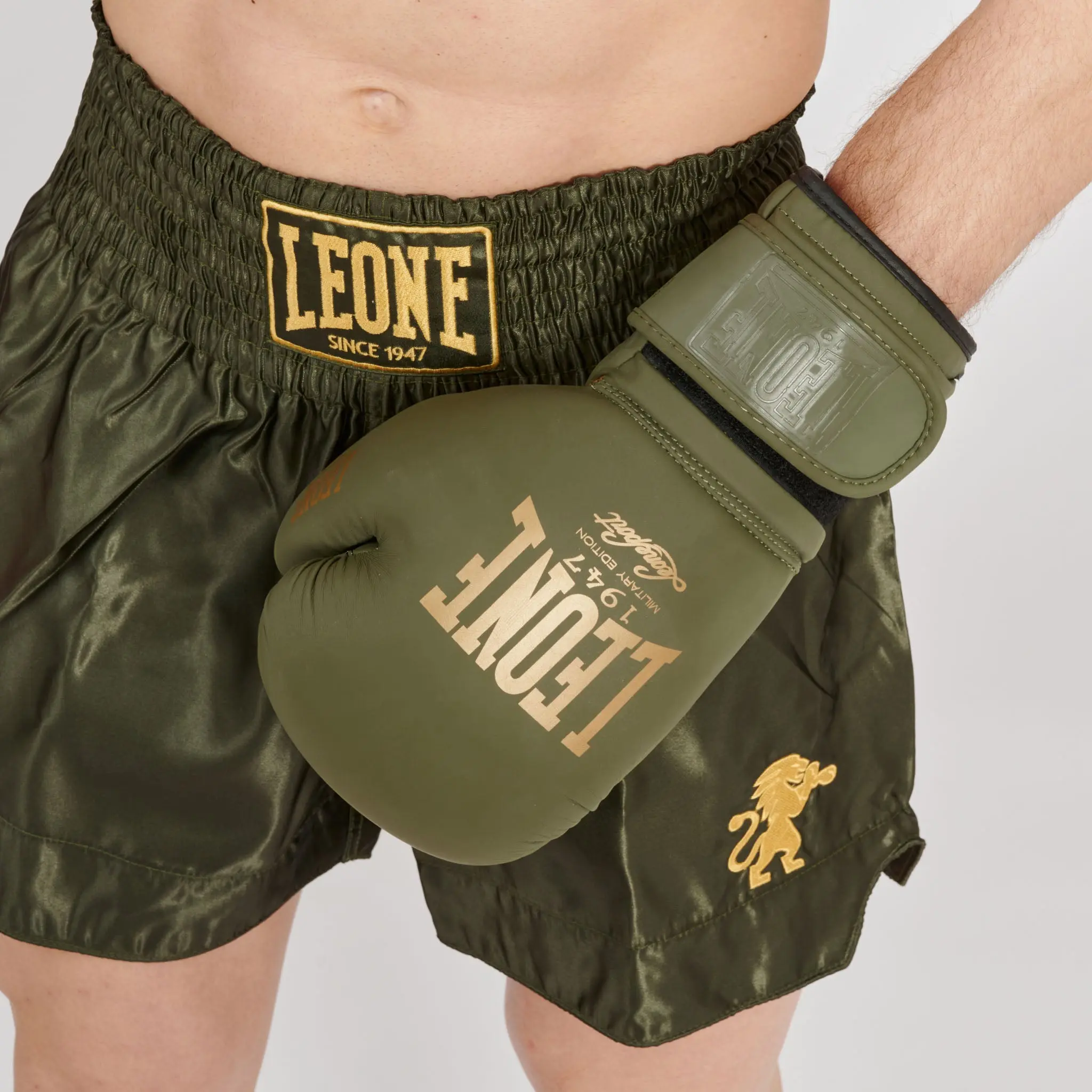 Leone - BASIC 2 KICK SHORTS - Green - Муай Тай Шорти - AB970, детайл с емблема на лъв