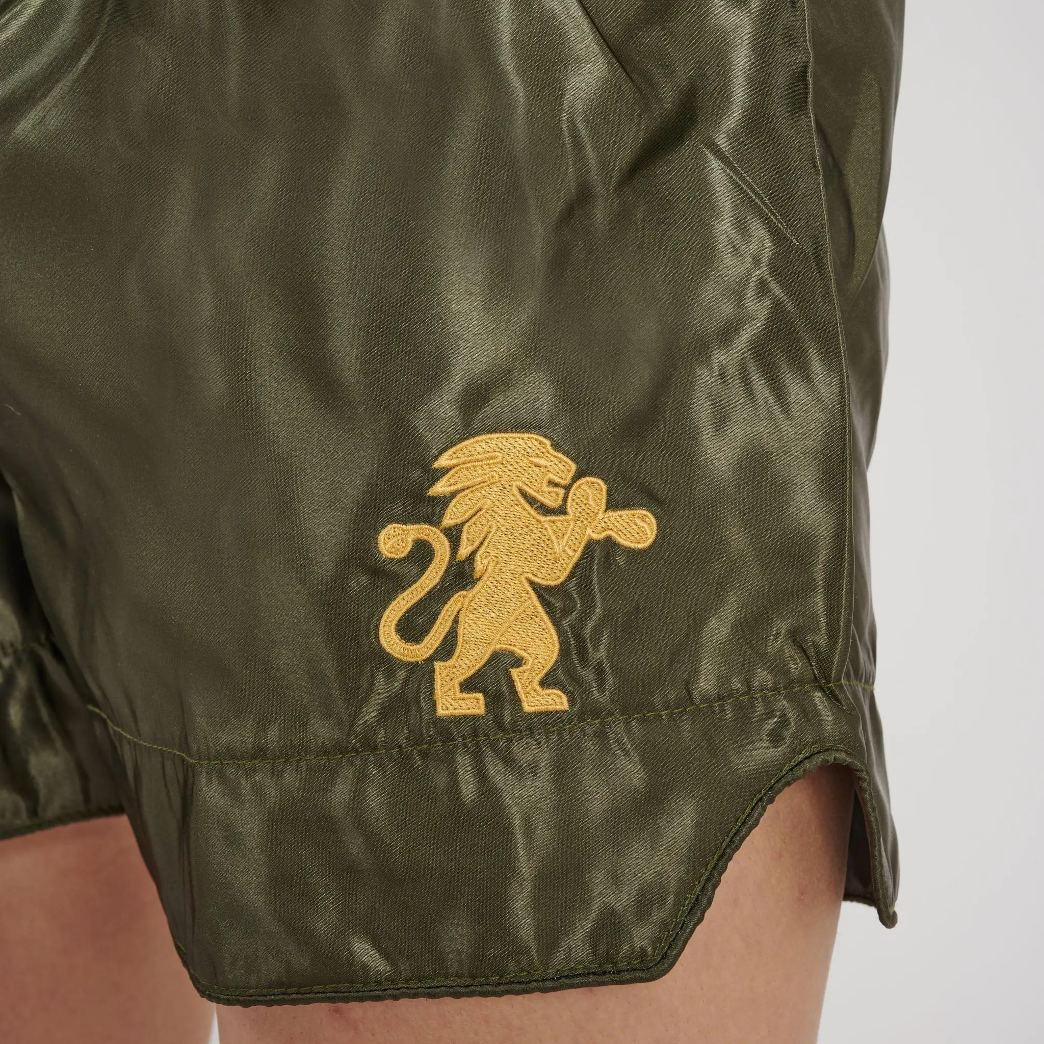 Leone - BASIC 2 KICK SHORTS - Green - Муай Тай Шорти - AB970, детайл на кола