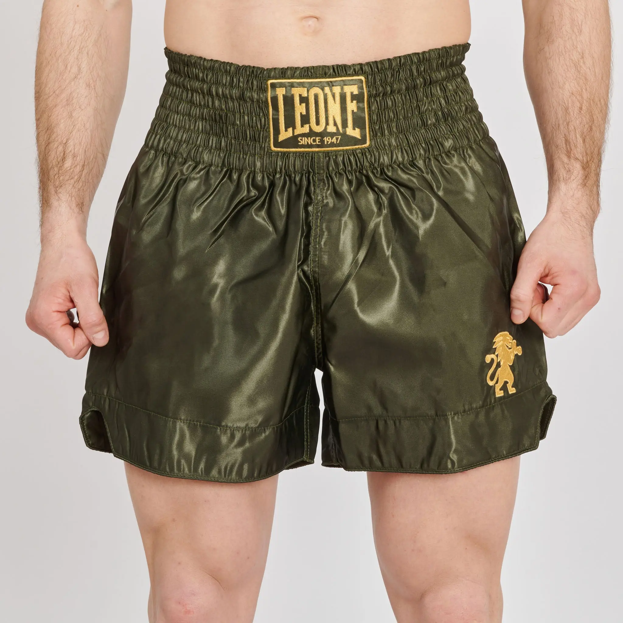 Leone - BASIC 2 KICK SHORTS - Green - Муай Тай Шорти - AB970, преден изглед с ръкавица