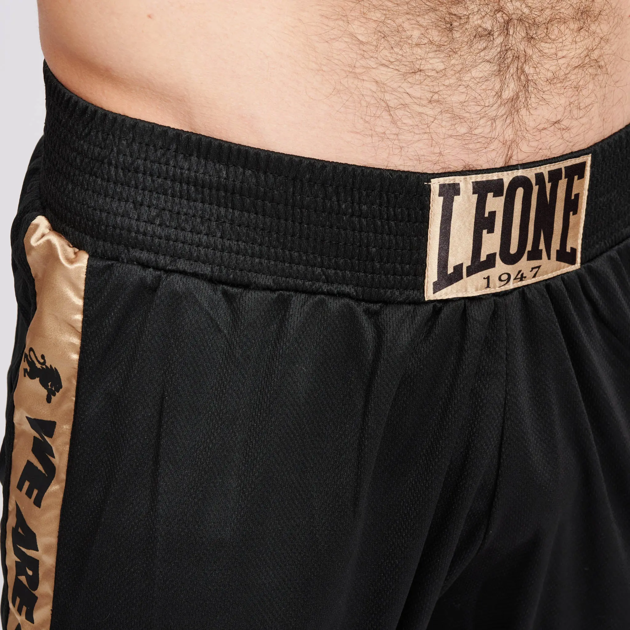 Leone DNA BOXING SHORTS - AB230, детайл от колан и лого