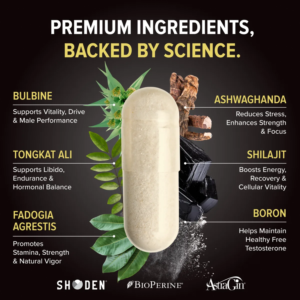 Nutrex Alpha-T Magnum, преглед на съставките