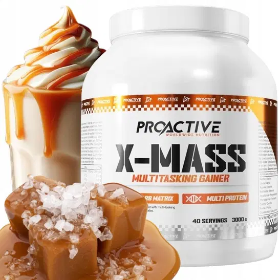 ProActive X-Mass Gainer 3000g